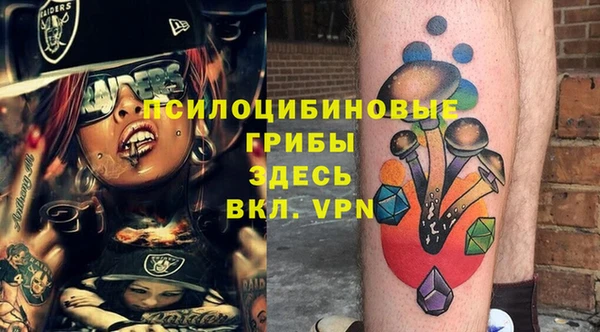 дмт Белокуриха