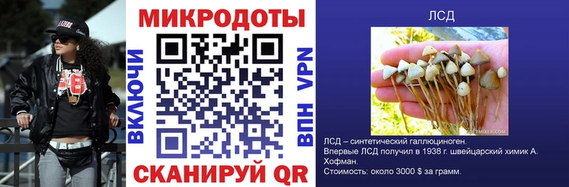 Галлюциногенные грибы Cubensis  Краснокамск 